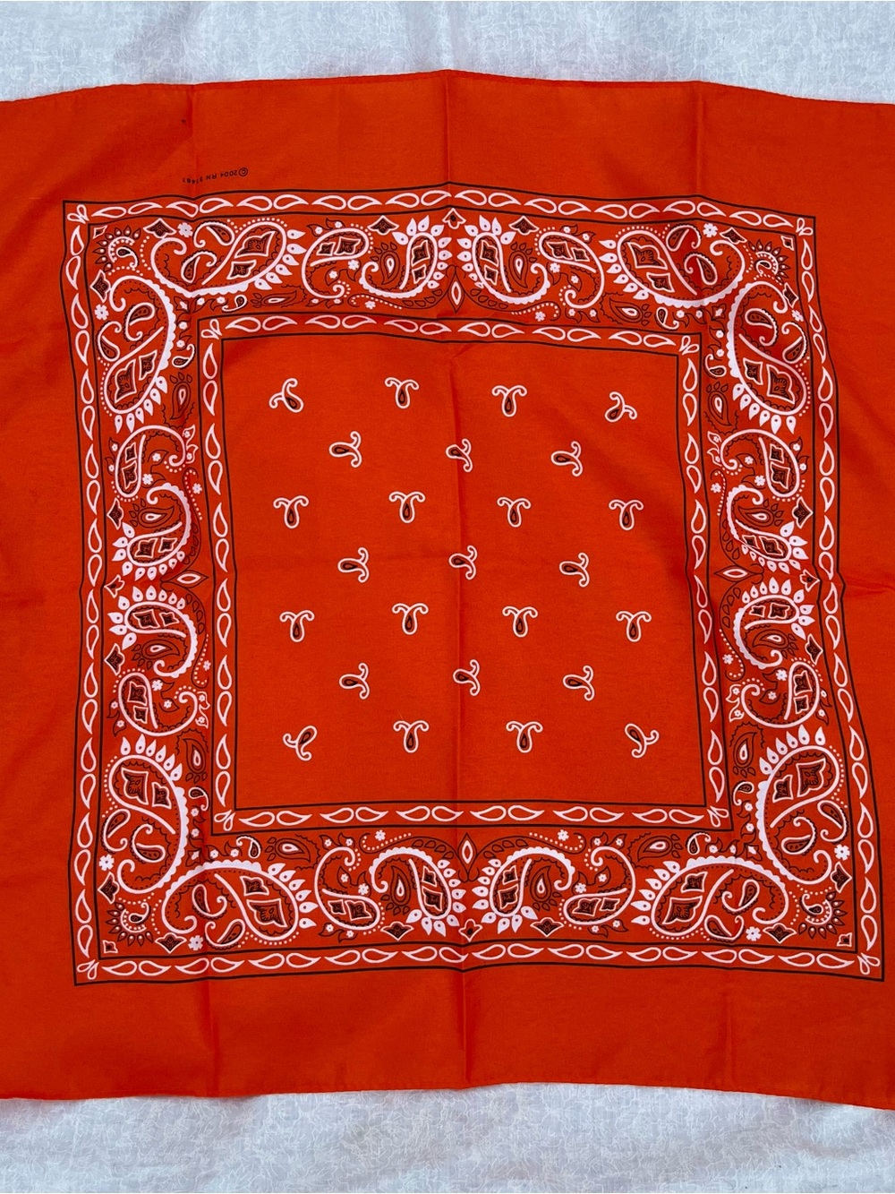 Orange Classic Paisley Bandana Scarf Handkerchief